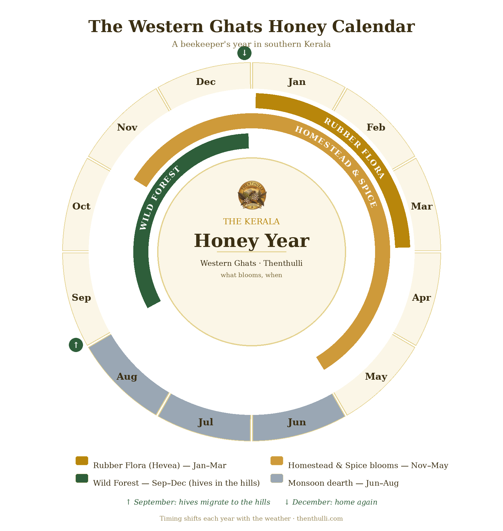 The Western Ghats Honey Calendar — a beekeeper's year in southern Kerala: rubber flora Jan–Mar, homestead & spice blooms Nov–May, monsoon dearth Jun–Aug, wild forest Sep–Dec